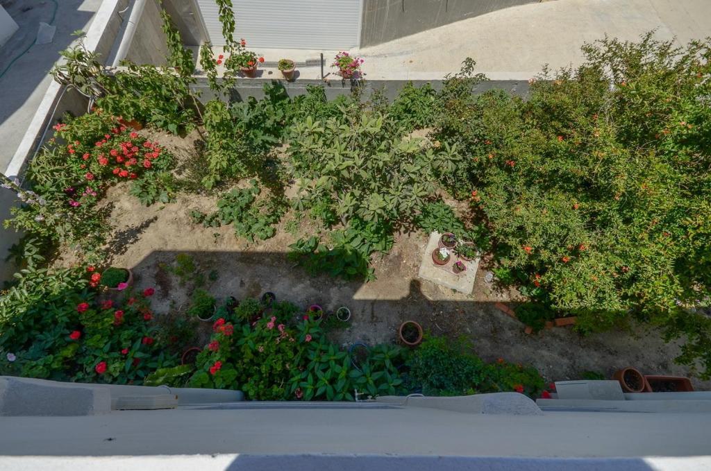 Margaritis Apartments Αγία Άννα Δωμάτιο φωτογραφία